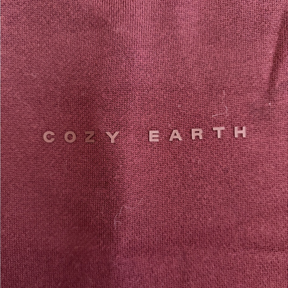 Cozy Earth Sweat Suit